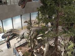 -湖南省地质博物馆