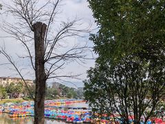 -枫香湖儿童公园
