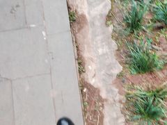 -重庆彩云湖湿地公园