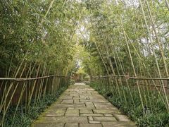 -新荣记(西溪湿地店)