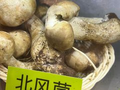 -菌海森林·非遗野生菌火锅(西山区滇池路摩根道店)