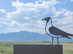 -野鸭湖国家湿地公园