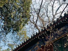 -潭柘寺景区