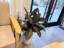 -和颜一美轻医美连锁