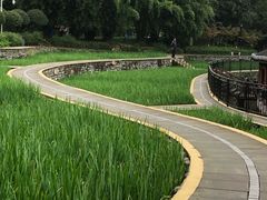 -龙头寺公园