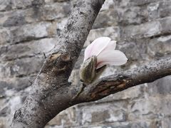 -东华门大街小区