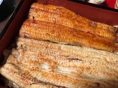 -料亭菊水楼