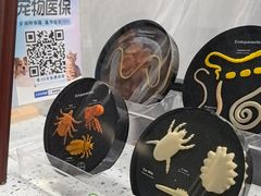 -半岛宠物医院24小时(白果林店)