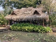 -中国科学院西双版纳热带植物园
