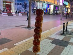 -戈拿旺巴西烤肉(崇文门店)