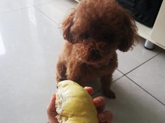 -沃尔玛超市(北大街店)