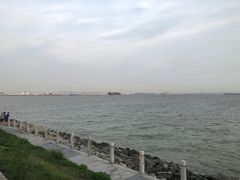 -海鸥岛