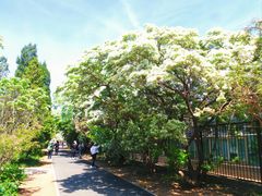 -国家植物园南园