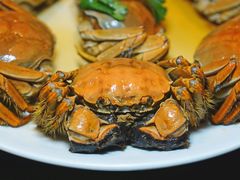 -醉南拳客家菜·河田鸡(东街口航空大厦店)
