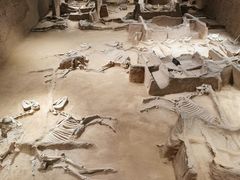 -洛阳周王城天子驾六博物馆