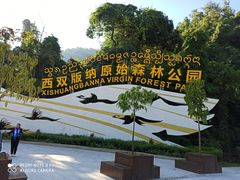 -西双版纳原始森林公园