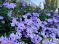 -北京金海湖景区