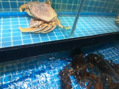 -琼大师东方烤乳猪(亚特兰蒂斯店)