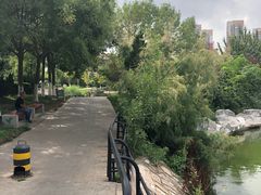 -绿岛公园(滨海新区)