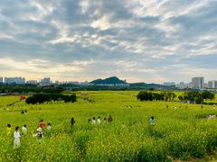 -光明小镇欢乐田园