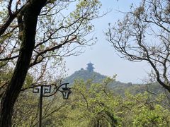 -杭州半山国家森林公园