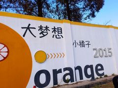 -前小桔亲子创意农场·草莓采摘·露营烧烤