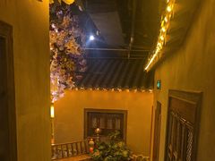 -叶叶菩提(太原别墅店)