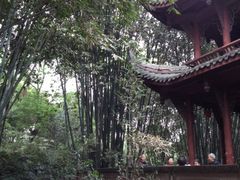 IMG_1023[1]-望江楼公园