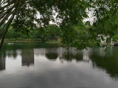 -晓港公园
