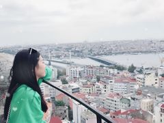 -加拉达石塔