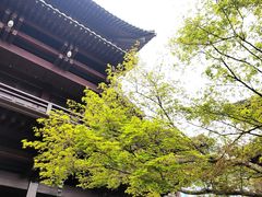 -香积寺