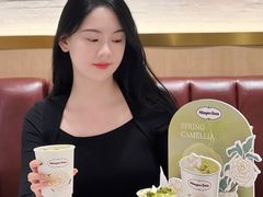 -哈根达斯(国瑞店)