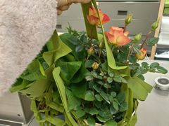 -鹿岛生活(熙地港店)