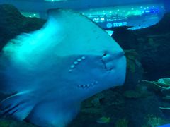 -成都浩海立方海洋公园