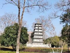 -武汉园博园(武汉自然博物馆)