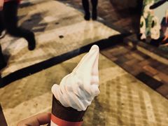 -富豪雪糕车流动点(尖沙咀店)