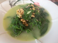 白豆肉茸浸桑叶-水乡人家私房菜(逢简店)
