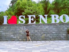 -杭州开元森泊度假乐园