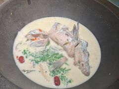 -鲜潭蒸汽石锅鱼(五道口购物中心店)