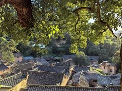 -杨家堂村