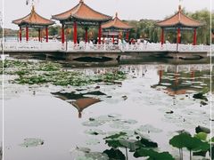 -长春市南湖公园