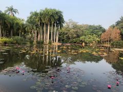 -中国科学院西双版纳热带植物园