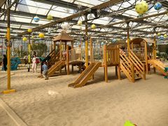 -南宫五洲植物乐园