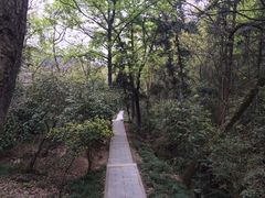 -峙山公园