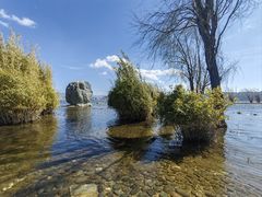 -洱海月湿地公园