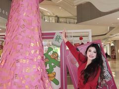 -石狮世茂摩天城摩天轮