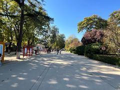 -保定市动物园