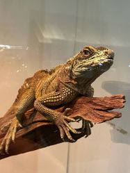 -Zoolung Zoolung动物主题公园(海信广场店)