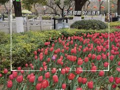 -热火朝天鲜切牛肉火锅(南强街巷店)