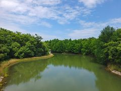 -上海海湾国家森林公园